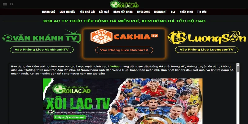 Nền tảng xem trực tiếp bóng đá được người Việt dùng nhiều nhất hiện tại