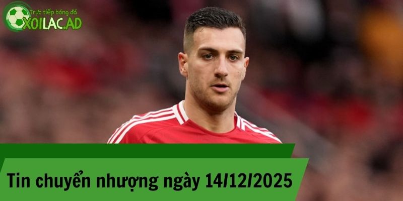 Tin chuyển nhượng 14/12/2025